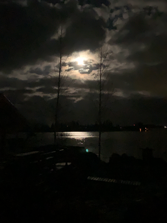 Monåfjärden-Kalotfjärden-Norra Heplotan, itäranta-ObsIMG-202110232215-61745f7de3980.png