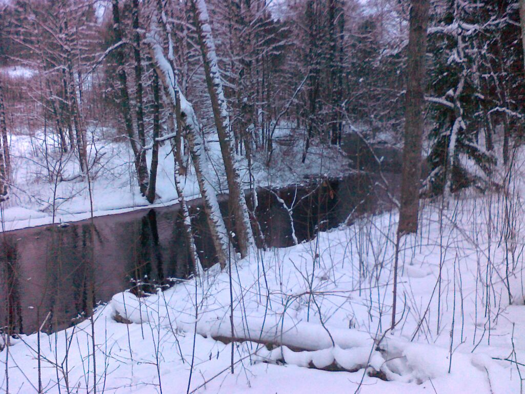 Myllyjoki 2013 002.jpg