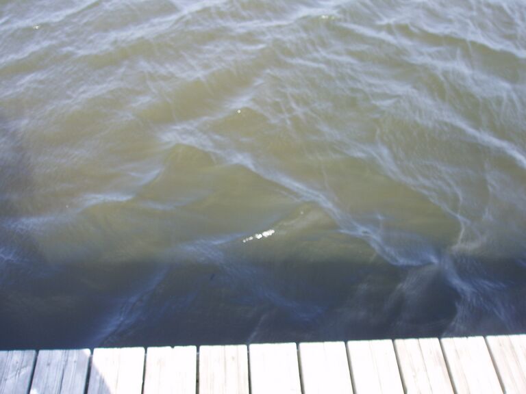 Taasjärvi 23.7.2013 002.jpg