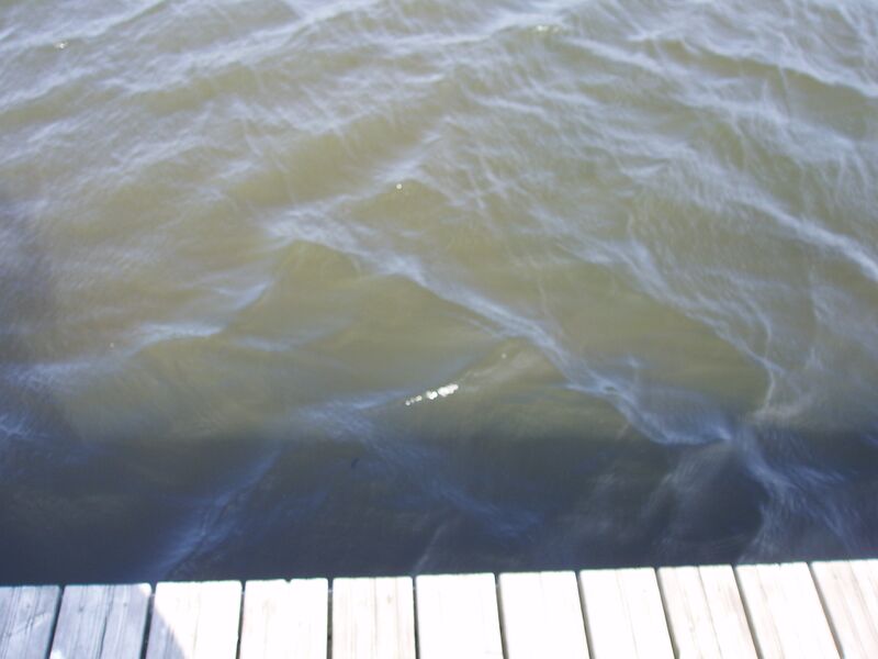 Tiedosto:Taasjärvi 23.7.2013 002.jpg