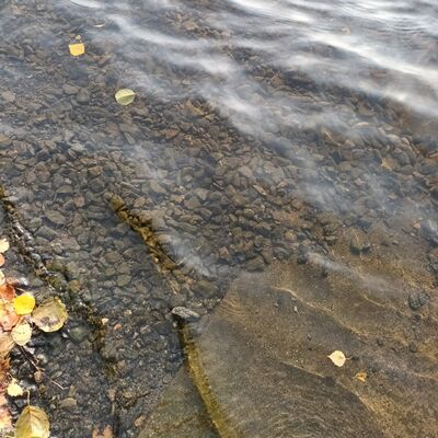 Iso-Lano 20240910 084600.jpg