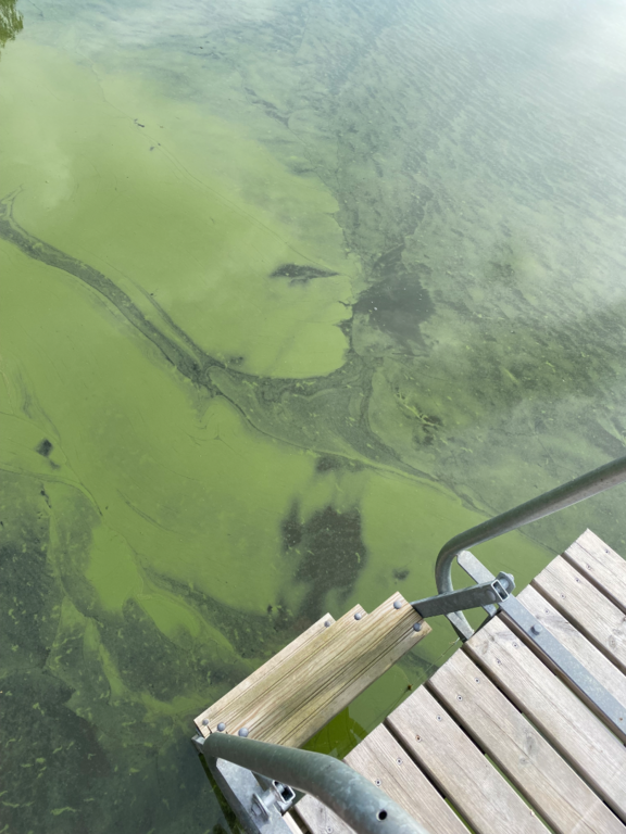 Kustavin pohjoispuolinen ulkosaaristoalue-Kiparluodonviikki, Kustavi-ObsIMG-202507280901-688712e64faa8.png