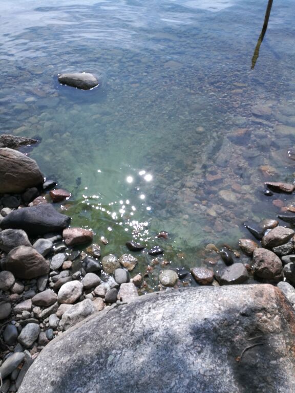 Puruvesi (Saimaa) (04.181.1.001)-Havaintopaikka 1-ObsIMG-201907171500-64.jpg