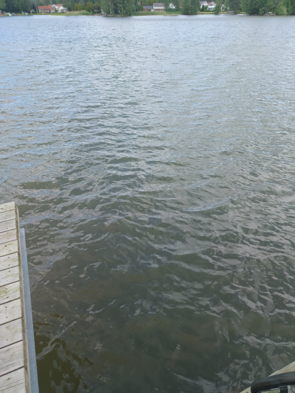 Pyhäjärvi (34.031.1.001)-Valtakunnallinen sinileväseuranta (Katismaan uimaranta)-ObsALG-202506171323-1750155815218.png