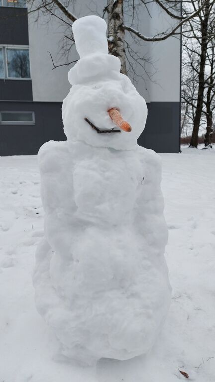 Saimaa (04.112.1.001)-Sataman alue-ObsIMG-202012261425-75.jpg