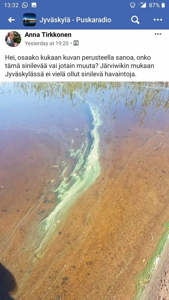 Tuomiojärvi (14.291.1.002)-Tuomiojärven uimaranta-ObsALG-201906171338-61.jpg