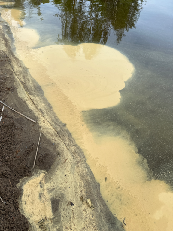 Ukonvesi (Saimaa) (04.151.1.001)-Koivukummunpolku-ObsALG-202305211813-646a34815f8a3.png