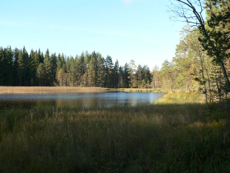 Kapustalahden luhta.JPG