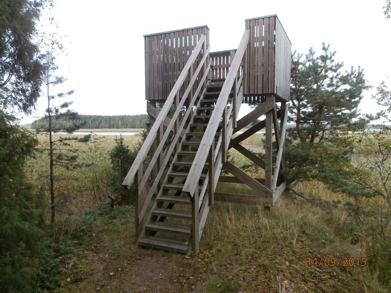 Killingon lintutorni 1.JPG