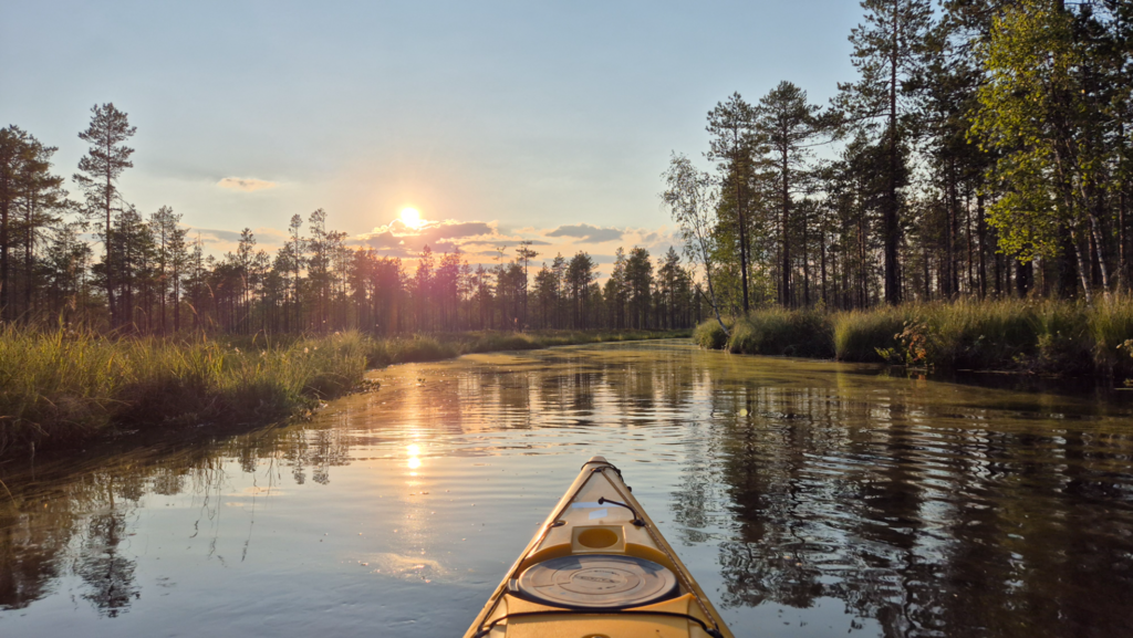 Mustapuron valuma-alue (14.674)-Syväjoki-ObsIMG-202507232041-68821c152cf4d.png