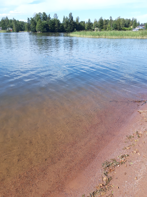 Pyhäjärvi (34.031.1.001)-Valtakunnallinen sinileväseuranta (Katismaan uimaranta)-ObsALG-202107271504-60fff6ed34c68.png