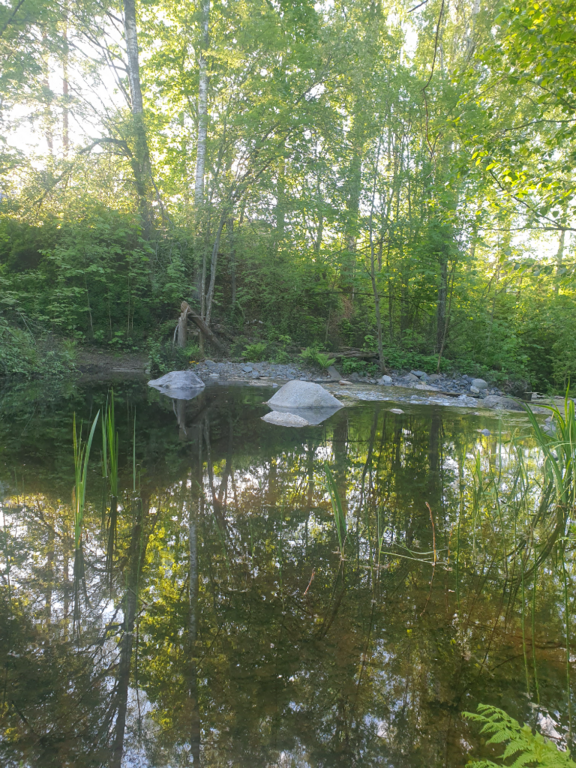 Urpolanjoen valuma-alue (04.152)-Vanha pato-ObsIMG-202305271937-64723188482e3.png