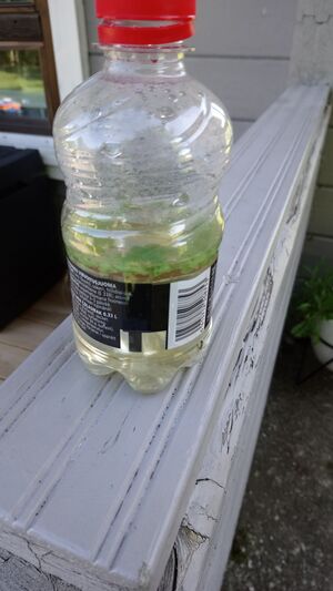 Kiljanjärvi (53.057.1.001)-Kiljanranta-ObsALG-202007261700-65.jpeg