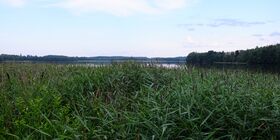 Kirkkojärvi2.jpg