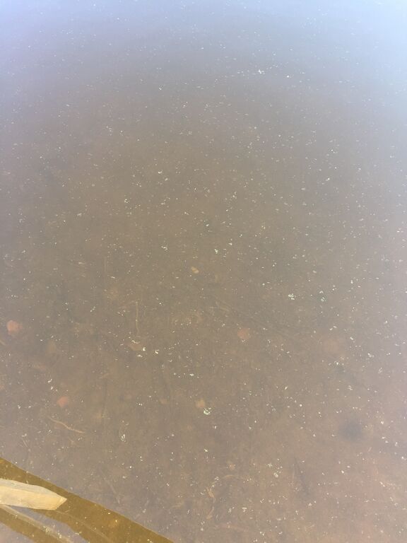 Päijänne (yhd.)-Kissankellon onkilaituri Ristikivi-ObsIMG-202009271241-62.jpg