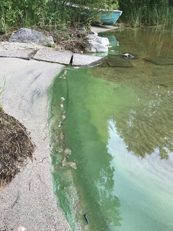 Pielinen (04.411.1.001)-Ukko-Kolin Lomamökit-ObsIMG-201907152032-57.jpeg