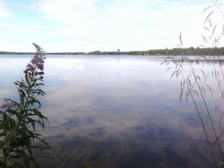 Torankijärvi Haapanantien ranta.jpg