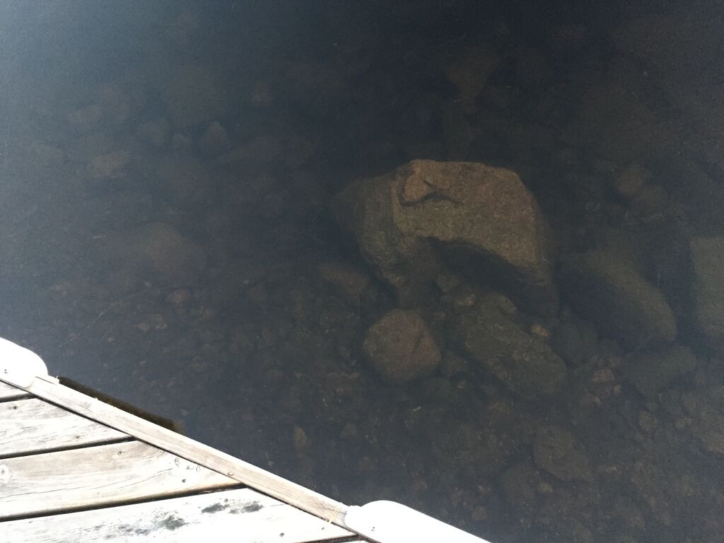 Konnivesi (14.131.1.001)-Virtasaaret-ObsIMG-201807262000-17.jpeg