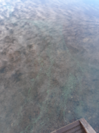 Oulujärvi (yhd.)/Kuusiranta