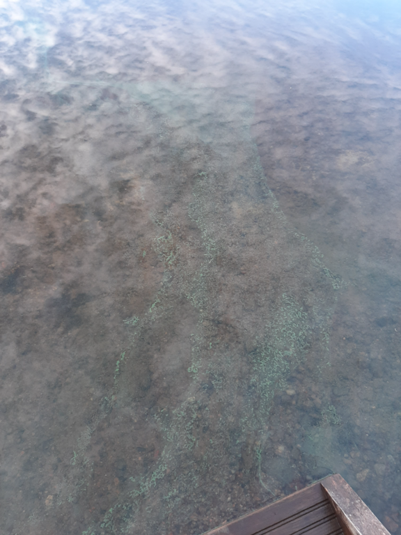 Oulujärvi (yhd.)-Kuusiranta-ObsIMG-202509271720-68d7f3d653a04.png