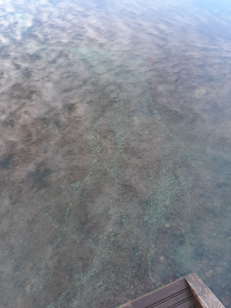 Oulujärvi (yhd.)-Kuusiranta-ObsIMG-202509271720-68d7f3d653a04.png