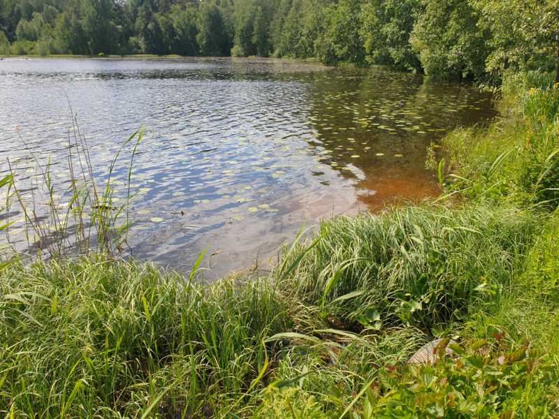 Tiedosto:Urpolanlampi (04.152.1.001)-Uusi hulevesiputki-ObsIMG-202406161329-666f0d3e1c8bd.png