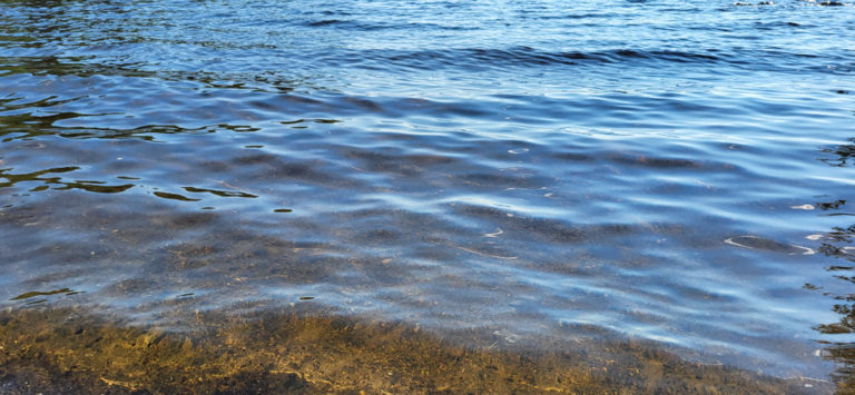 Höytiäinen (04.821.1.001)-Järvenlaskuntie 11-ObsALG-202406281622-667eb9e264d48.png