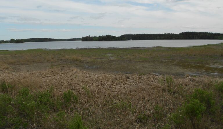 Haapajarvi28052012064.JPG