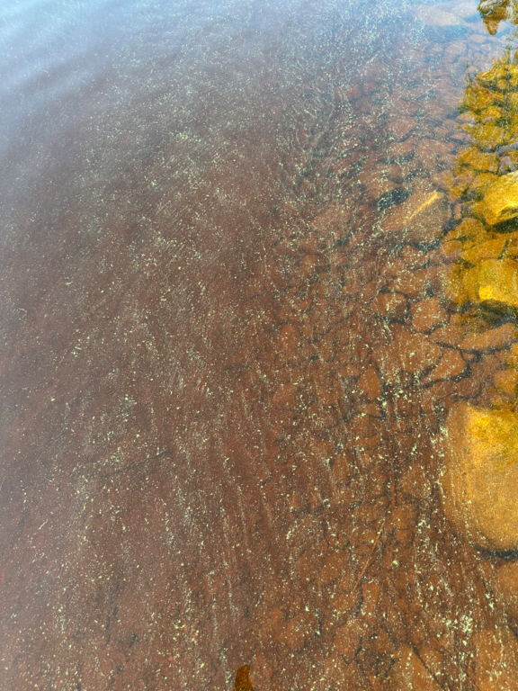 Kiantajärvi (59.862.1.001)-Havaintopaikka 1-ObsIMG-202507141319-6874da592a6e6.png