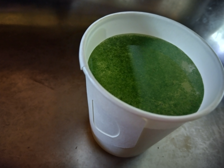 Päijänne (yhd.)-Mämminiemi-ObsALG-202506281644-68618a578e448.png