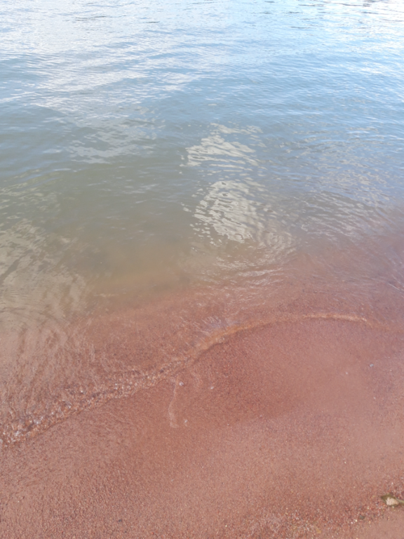 Pyhäjärvi (34.031.1.001)-Valtakunnallinen sinileväseuranta (Katismaan uimaranta)-ObsALG-202308091508-64d3819ceb1fa.png