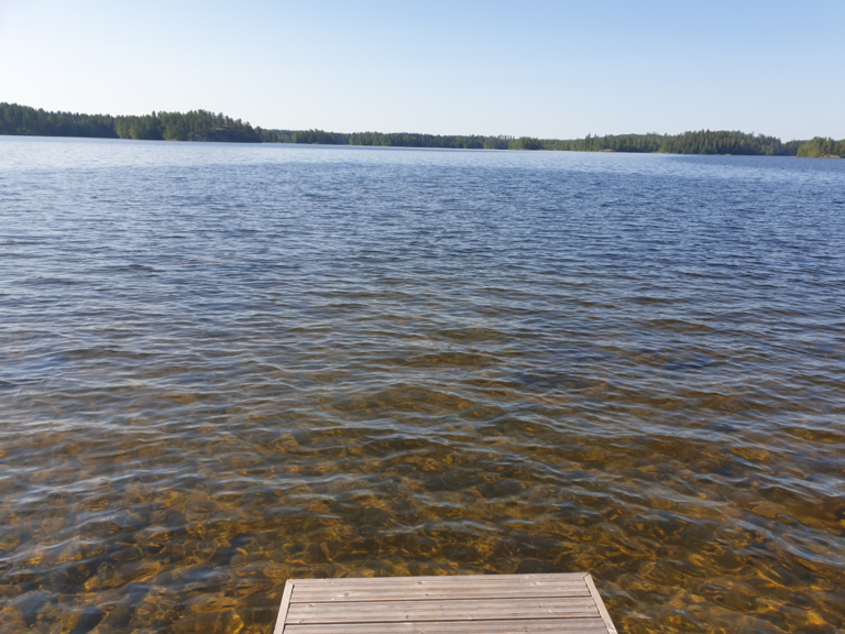 Saarijärvi (04.158.1.003)-MerjanMaja-ObsIMG-202507180859-1752818742371.png