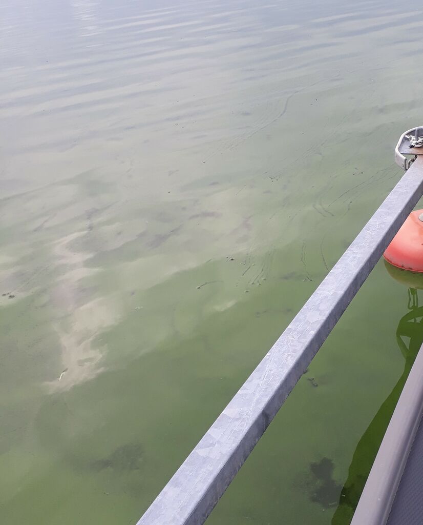 Seurasaari-Ruukinranta venesatama-ObsALG-202007281419-83.jpg