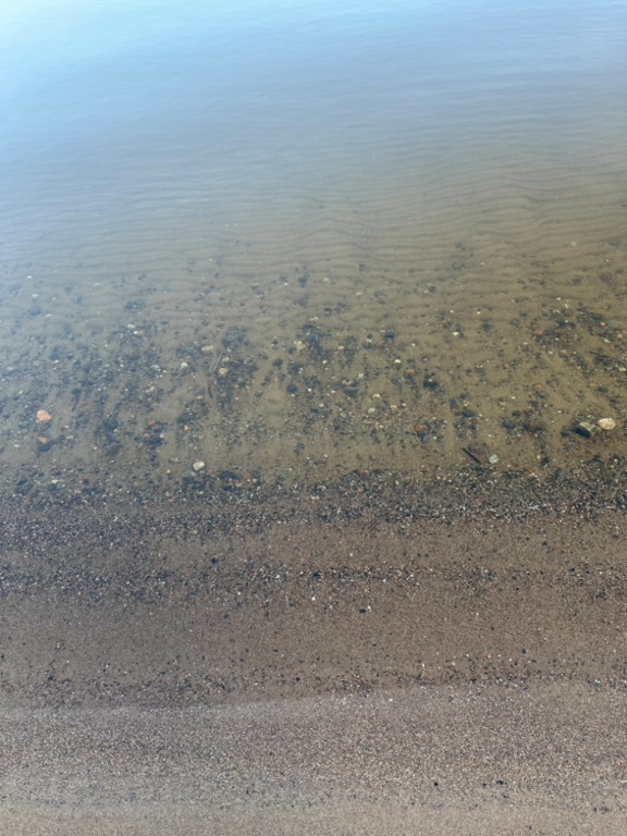 Ukonvesi (Saimaa) (04.151.1.001)-Koivukummunpolku-ObsALG-202308122007-64d7bc05434c5.png