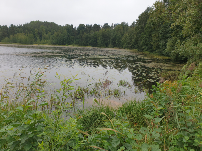 Urpolanlampi (04.152.1.001)-Uusi hulevesiputki-ObsIMG-202408221218-66c702ddc4afe.png