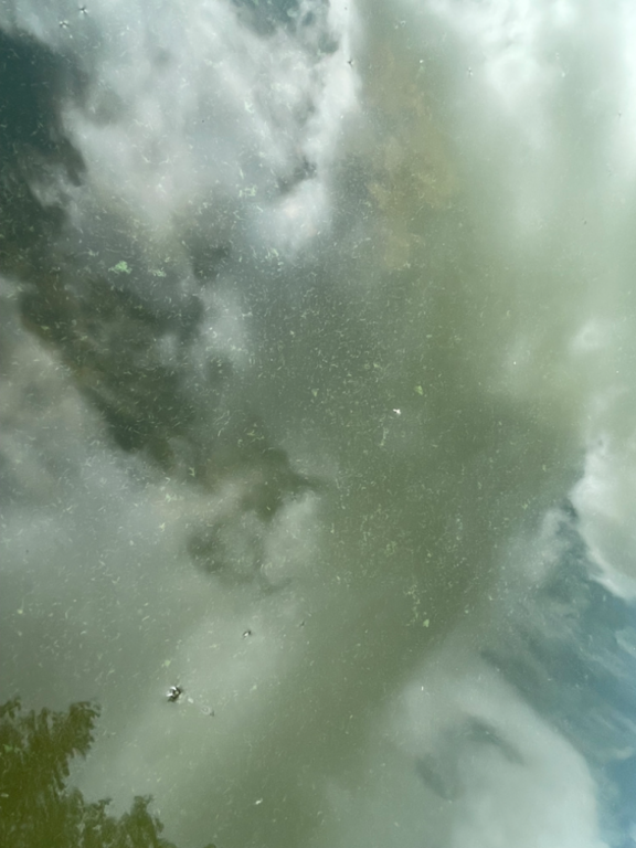 Vardskadsudden - Strömma-Krängbänken-ObsALG-202307081048-64a915660666f.png