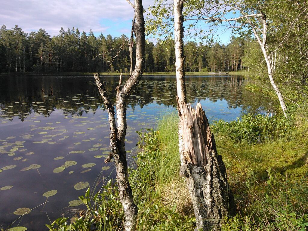 Bergträsk eteläranta.jpg