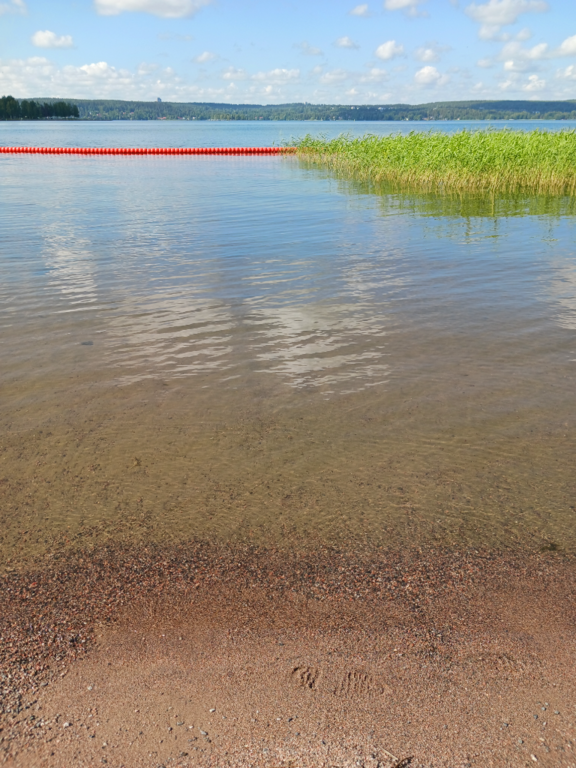 Vesijärvi (14.241.1.001)-Valtakunnallinen sinileväseuranta (Mukkula)-ObsIMG-202306270950-649a8739598fd.png