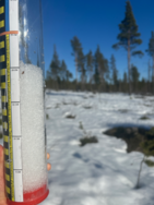 Jerisjoen alaosan alue (67.471)/Havaintopaikka 5