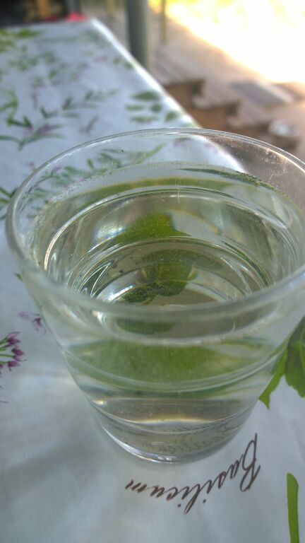 Korpijärvi (04.143.1.001)-Korpijärvi läntinen-ObsIMG-201807131317-64.jpg