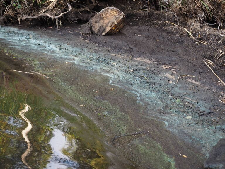 Pyhäjärven lähialue (34.031)-Pehkuranta Jokisuuntie-ObsALG-201807102050-21.jpeg