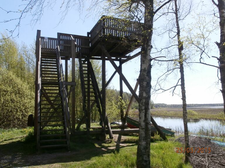 Ridasjärven lintutorni 4.JPG