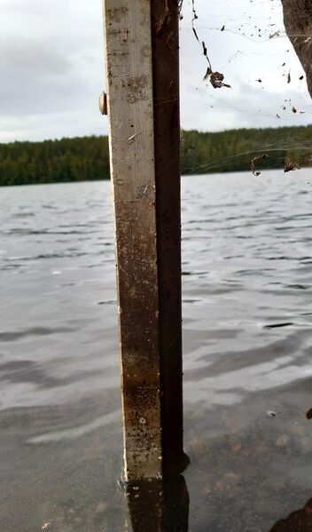 Tiedosto:20200831 064940.jpg