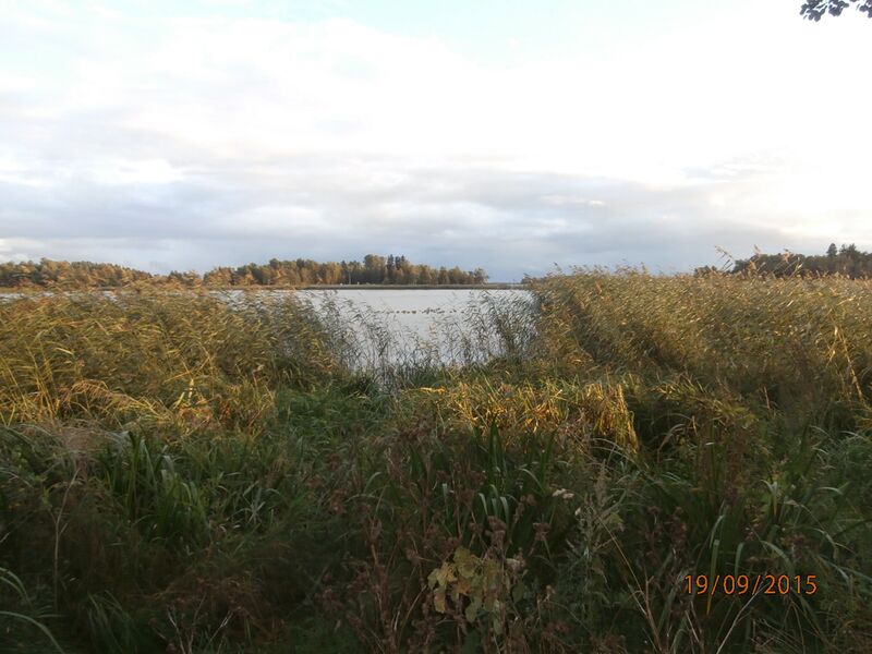 Tiedosto:Iso Huopalahti.JPG