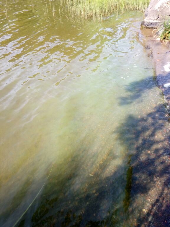 Jalanti (35.281.1.002)-Vuoltee-ObsIMG-201908251137-10.jpg