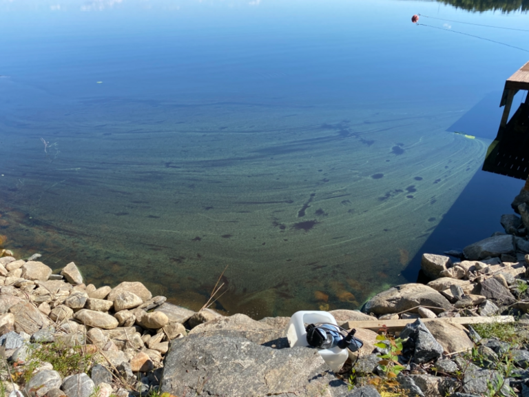 Kallavesi (yhd.)-Havaintopaikka 2-ObsIMG-202107031408-60e045dc3f305.png