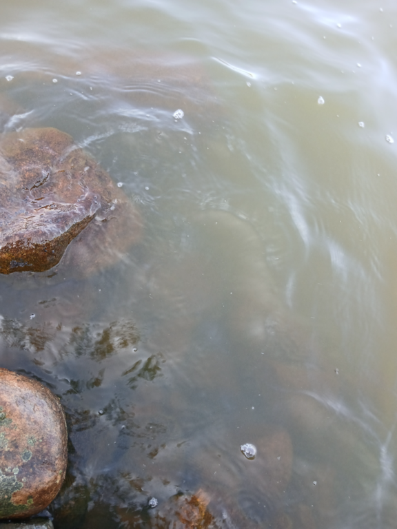 Konsajärvi (65.592.1.017)-Hevoskummun Upseeriparantola-ObsALG-202507111029-1752219067440.png