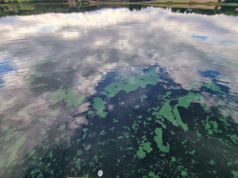 Kurkelanjärvi (24.032.1.001)-Havaintopaikka 2-ObsIMG-202209161710-6324846bcb6ab.png