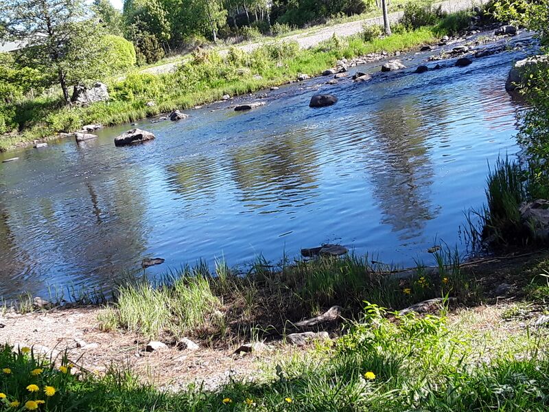 Tiedosto:Merikarvianjoen suualue (36.011)-Holmankoski-ObsIMG-201805280949-27.jpg