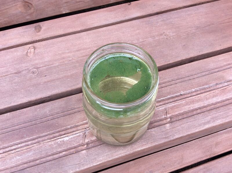 Tiedosto:Pihlajavesi (Saimaa) (04.121.1.001)-Havaintopaikka 2-ObsIMG-201807110933-97.jpg